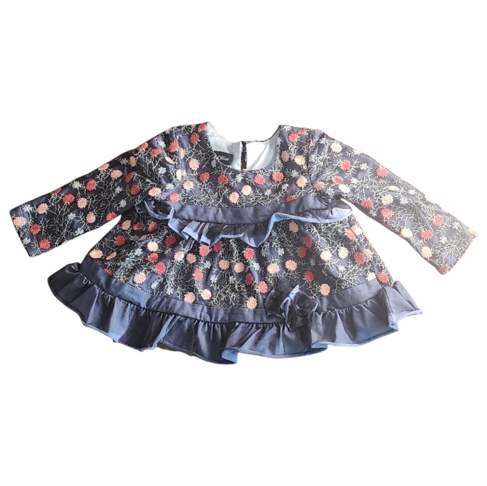 NWT Isobella & Chloe Embroidery‎ Floral Mesh Dress 2T